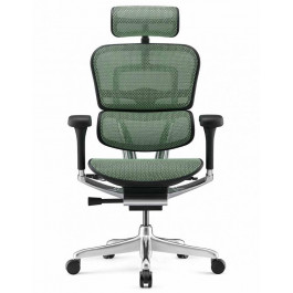   Comfort Seating ERGOHUMAN LUXURY 2 Green