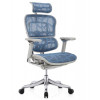 Comfort Seating Ergohuman Plus Luxury Blue (EHPL-AG-HAM-ZB5) - зображення 1