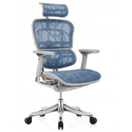 Comfort Seating Ergohuman Plus Luxury Blue (EHPL-AG-HAM-ZB5)