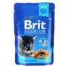 сухий корм Brit Premium Cat Chicken Chunks for Kitten 100 г (8595602506026) (100274 /506026)