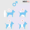 MISOKO&CO Підгузник багаторазовий для собак-кобелів розмір L  (помаранчеві цуценята) 634187 (4779051634187) - зображення 3