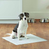 Tatrapet Одноразові пелюшки для собак та цуценят 60х60 см  BENNY, 20 шт/уп (981515) - зображення 2