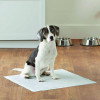 Tatrapet Одноразові пелюшки для собак та цуценят 60х90 см  BENNY, 6 шт/уп (981539) - зображення 3