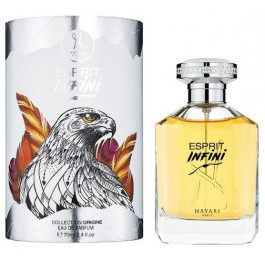 Hayari Parfums Esprit Infini Парфюмированная вода унисекс 70 мл