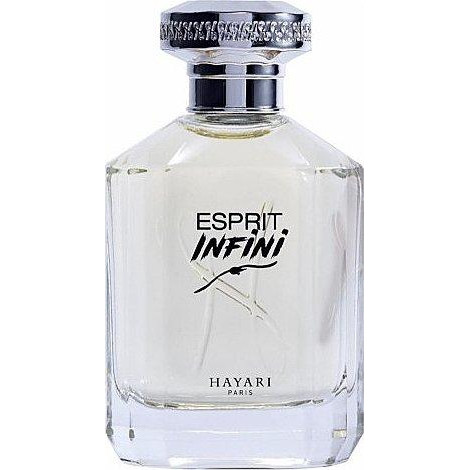Hayari Parfums Esprit Infini Парфюмированная вода унисекс 70 мл Тестер - зображення 1