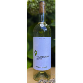 Frumushika Nova Вино  Мускат Оттонель сухе біле 11.4 % 0.75 л (BWT7019)