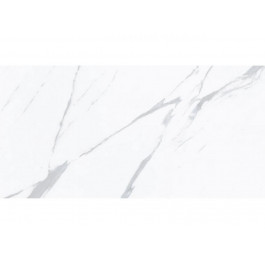 Royal Marble MPB-R3456 Calacatta 60x120