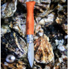 Opinel Oysters and Shellfish Knife 9 (001616) - зображення 2