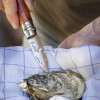 Opinel Oysters and Shellfish Knife 9 (001616) - зображення 5