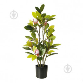 Engard Штучна рослина  Magnolia, 70 см (DW-17)