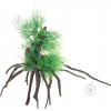 Aquael Декорация  Растение на корнях 24х12х16 см В2207 - зображення 1