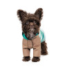 Pet Fashion Дощовик для собак  Semmy М (PR243452) - зображення 1