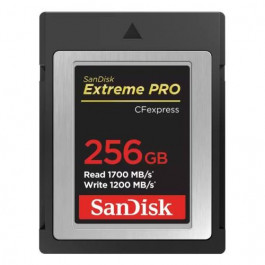 SanDisk 256 GB Extreme PRO CFexpress Type B (SDCFE-256G-GN4NN)