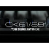 Yamaha CK61 - зображення 7