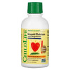 ChildLife Liquid Calcium with Magnesium 473 ml (Natural Orange) - зображення 1