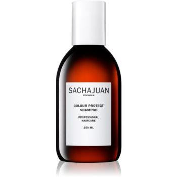SachaJuan Colour Protect шампунь для захисту кольору волосся 250 мл - зображення 1