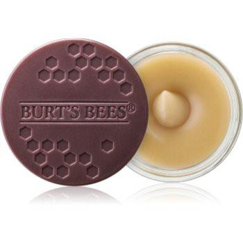 Burt's Bees Lip Scrub пілінг для губ з поживною ефекту  7,08 гр - зображення 1