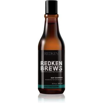 Redken Brews ментоловий шампунь 300 мл - зображення 1