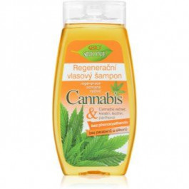Bione Cosmetics Cannabis відновлюючий шампунь  260 мл
