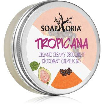 Soaphoria Tropicana органічний кремовий дезодорант 50 мл - зображення 1