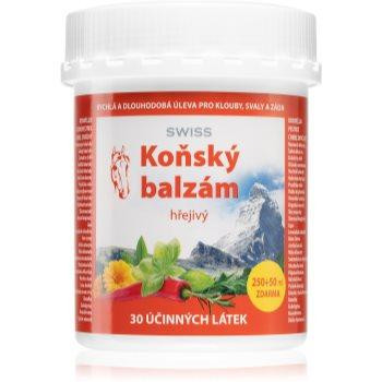 Swiss Horse balm Warm ароматичний масажний бальзам 300 мл - зображення 1