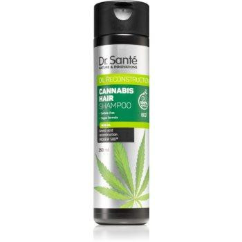 Dr. Sante Cannabis відновлюючий шампунь з конопляною олією 250 мл - зображення 1