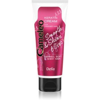 Delia Cosmetics Cameleo Smooth & Shine 60 sec крем для волосся для блиску та шовковистості волосся 250 мл - зображення 1