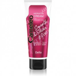 Delia Cosmetics Cameleo Smooth & Shine 60 sec крем для волосся для блиску та шовковистості волосся 250 мл