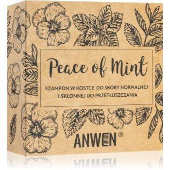 Anwen Peace of Mint твердий шампунь in alu can 75 гр - зображення 1