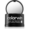Colorwin Powder пудра для волосся для об'єму й зафарбовування сивини відтінок Dark Brown 3,2 гр - зображення 1