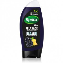 Radox Men Feel Wild гель для душу та шампунь 2 в 1 Blackberry & Ginger 250 мл