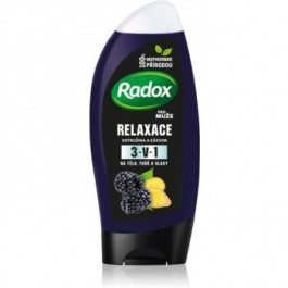   Radox Men Feel Wild гель для душу та шампунь 2 в 1 Blackberry & Ginger 250 мл