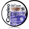 Delia Cosmetics Cameleo Silver маска для волосся для нейтралізації жовтизни  200 мл - зображення 1