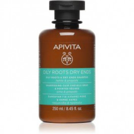 Apivita Holistic Hair Care Nettle & Propolis шампунь для жирного типу волосся 250 мл
