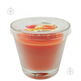 Pako-If Свічка у склянці  Манго 440 г (4009078393645)