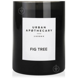 Urban Apothecary Свічка ароматична  інжир Fig Tree 300 г (5060348093404)