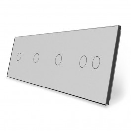 Livolo Сенсорная панель выключателя 5 сенсоров (1-1-1-2) серый стекло (VL-P701/01/01/02-8I)
