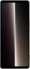 Sony Xperia 1 V 12/256GB Platinum Silver - зображення 2