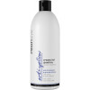 PROFIStyle Шампунь для волосся   Сріблястий для Холодних відтінків Блонд 500 мл (4820003290095) - зображення 1