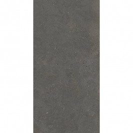 Fiandre Solida Anthracite 100х100 (GAB800N100006)