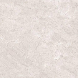 Raviraj Ceramics Плитка підлогова Marmol Gris POL 60x60