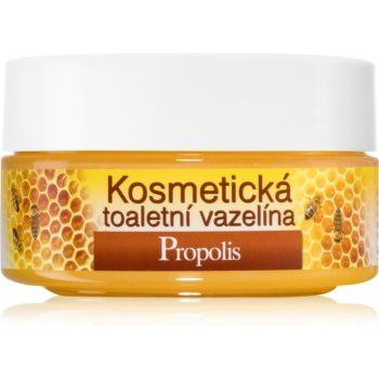 Bione Cosmetics Honey + Q10 косметичний вазелін 155 мл - зображення 1