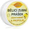 Bione Cosmetics Dentamint Propolis відбілюючий зубний порошок 40 гр - зображення 1