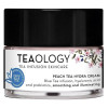 Teaology Увлажняющий крем для лица  Peach tea 50 мл (8050148500599) - зображення 1