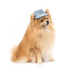 Pet Fashion Панама для собак  Blue XS (PR243422) - зображення 3