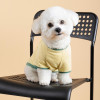 Pet Fashion Футболка для собак  Endy XS-2 (PR243427) - зображення 5