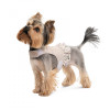 Pet Fashion Шлея для собак  Nika XXS (PR243442) - зображення 3