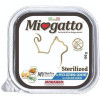 Morando Miogatto Sterilized Fish and Salmon 100 г (8007520086301) - зображення 1