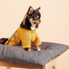 Pet Fashion Светр для тварин  Denis XS жовтий (4823082434626) - зображення 3