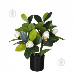 Engard Штучна рослина  Magnolia, 40 см (DW-16)